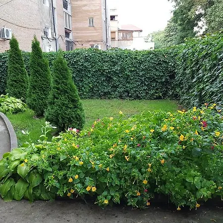 Vila 33 Вилла *